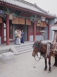 Episode 69 - Zeitreise: Die kluge Fürstin