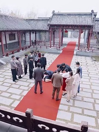 第28集 - 顧家棄女