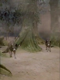 Awakening - Episode 26