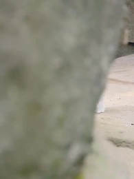 Awakening - Episode 28