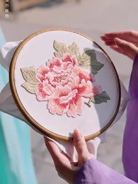 第74集 - 京城的荔枝