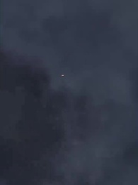 53화 - 내 아버지가 선존님이다