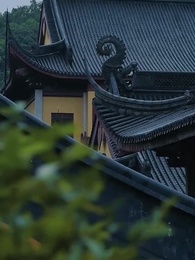 Never Again, Even in Rebirth - Episode 55