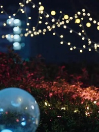 Episode 19 - Fallen Deep