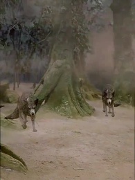 第26集 - 宗門女配覺醒了