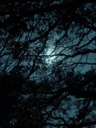 Серия 90 - Нежеланная судьба