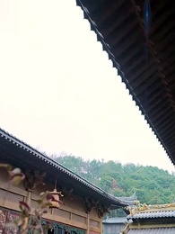 第17集 - 宗門女配覺醒了