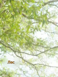 Нежеланная судьба - Episode 1