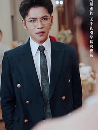 第29集 - 福寶牽緣，愛的重逢