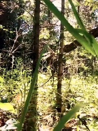 Серия 34 - Преследую свою отвергнутую жену