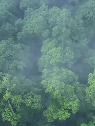 ดาร์ค ลอร์ด - Episode 11