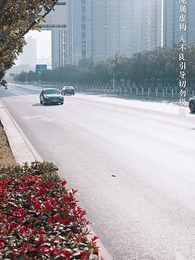 第24集 - 福寶牽緣，愛的重逢