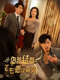 偽装結婚~でも恋は本気~