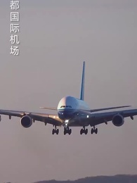 Episode 1 - The Touch I Didn’t Expect