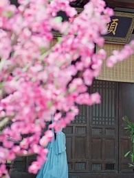 浮生一別又相逢 - Episode 50