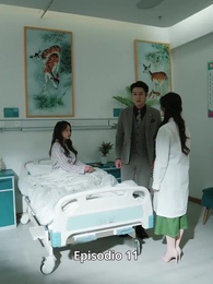 Episodio 11 - [Doblado] Amor tardío