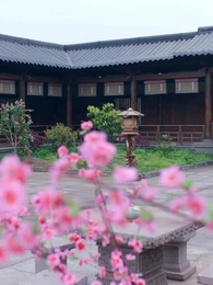 Episode 37 - Indelible Mark