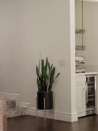 Destined Love:Marry Me Again - Episode 7