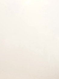 Episódio 38 - Minha Esposa Especial