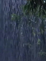 الحلقة 24 - الحب في الزمن الخطأ