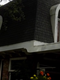 Episode 35 - Wenn die Diebin den Alpha will