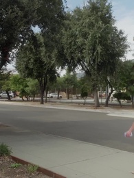 La Rinascita della CEO - Episode 80