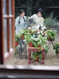 Episode 47 - A Songbird's Love and Lies