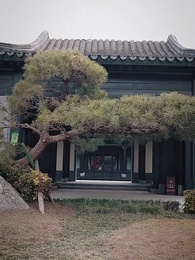 師父在此，徒兒莫慌 - Episode 4