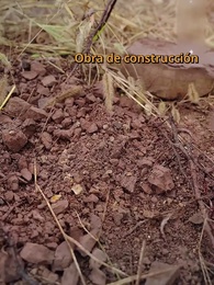 Renacer a los Cincuenta - Episode 1