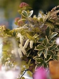 Episode 28 - Wenn die Diebin den Alpha will