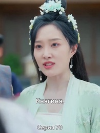 Серия 70 - Княгиня-лекарь с ядом