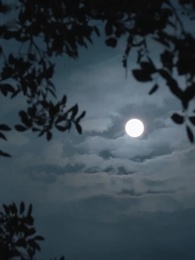 悪女は泣かない - Episode 11