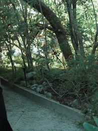 Episode 59 - Forbidden Desire：My Mated Stripper