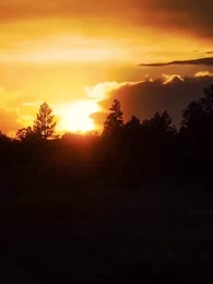 Episode 21 - Love at First Blind