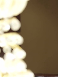 Birth Daughter vs. Adopted Daughter - Episode 33