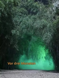 Episode 46 - Meine starke Mutter und geheimnisvolle Vater