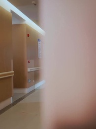 Episode 11 - Scarlet Vows