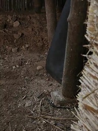 第32集 - 金枝纏夢