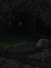 Episode 48 - Mein Alphakönig