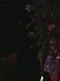 Episodio 26 - Tra Inganni e Passioni