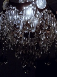 Wenn die Diebin den Alpha will - Episode 33