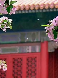 Episode 11 - No Regrets in the Palace