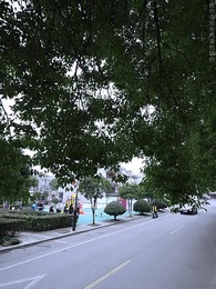 第33集 - 天降鴻福