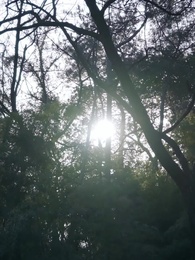 Mandona en casa, secreto de papá - Episode 6