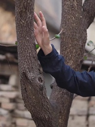 From Hate to Hug: Father's Triumph - Episode 3