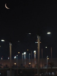 Episode 48 - Sein verlorener Herzschlag