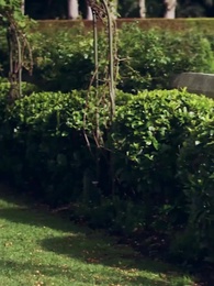 L’Amore che Brucia - Episode 25