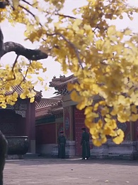 Episode 33 - No Regrets in the Palace