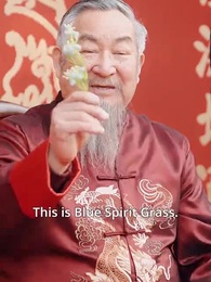 Episode 45 - In the Light of Love