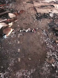 渡り鳥は噓の季節に立ち留まる - Episode 1